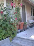Hollyhock Country House