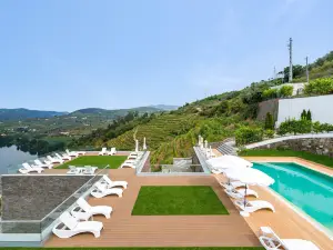 Delfim Douro Hotel