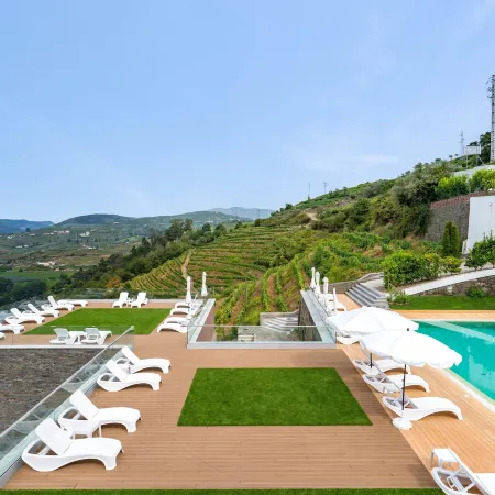 Delfim Douro Hotel