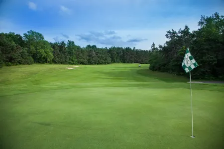 Evergreen Resort Отели в г. Ридер Тауншип