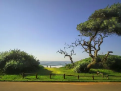 4 Dolphin Views la Mercy Luxury Beachfront Apartment with Private Swimming Pool Hotels in La Mercy