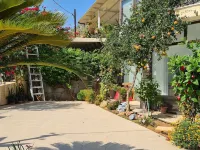 Villa George - Family Holidays Hotels in Marathon