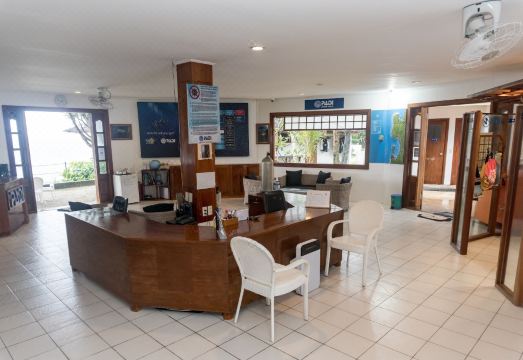 4. 쿠오 바디스 다..