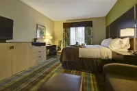 Holiday Inn CHRISTIANSBURG BLACKSBURG by IHG