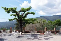 Hostal Montserrat Hotels in Sant Esteve de Palautordera