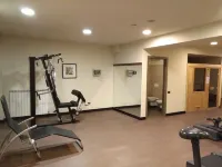 Bis Hotel Varese - salle de sport