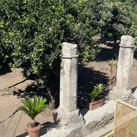 Tenuta la Torre