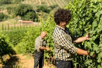 Palagina la Cascina Hotel di Figline e Incisa Valdarno