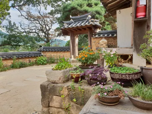 옥연정사