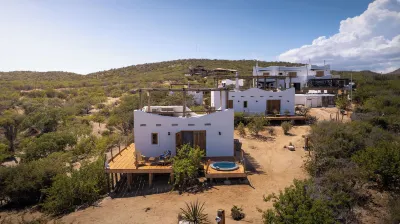 Nest Baja