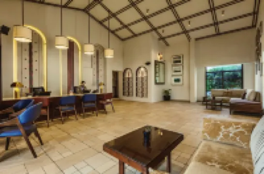 Mango Hill Shola Ooty