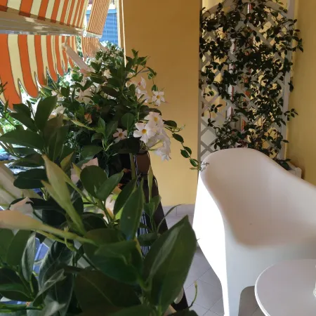 Al Parco Verde B&B
