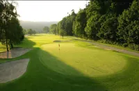 Woodenbridge Hotel Hotels in Arklow