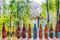 Hotel Banana Azul - Adults Only - bar