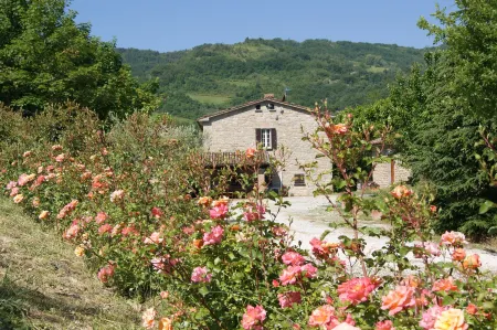 Agriturismo Corte Dei Mori