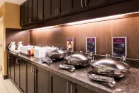 Residence Inn Saratoga Springs Hotel a Wilton