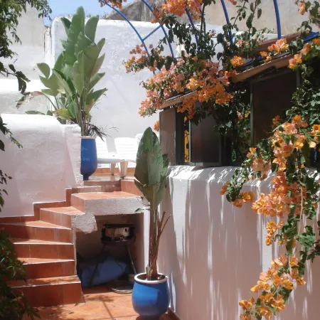 Riad Marlinea