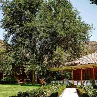 Hacienda Los Lingues Chile Valle de Colchagua Hotel Exterior