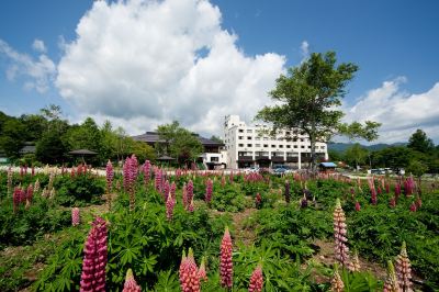 Surroundings Hotel Sunbird Photo