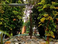 Diuwak Hotels in Dominical