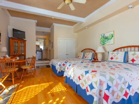 沙克米爾酒店 酒店