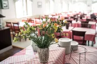 Summer Hotel Tott - فطور