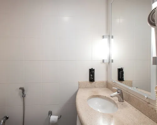 Ibis Presidente Prudente Manoel Goulart Phòng Photos