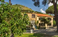 Elaia Hotel Hotels in Bergama