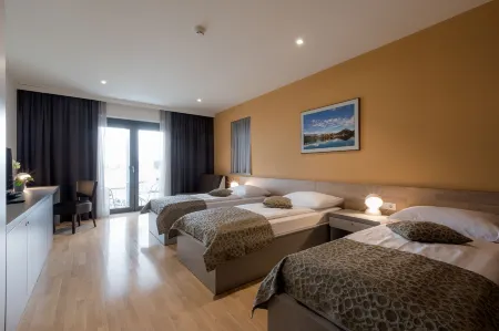 Hotel Florjančkov Hram Отели в г. Трзин