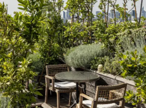 Brach Paris - Evok Collection