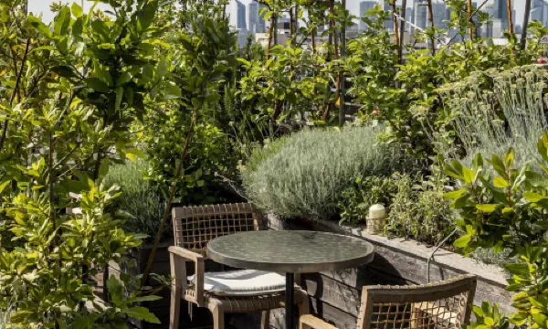 Brach Paris - Evok Collection