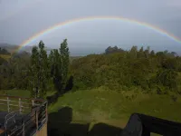 帕克奎裡柯飯店 - 海景