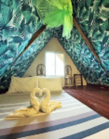 艾爾尼多森林營地