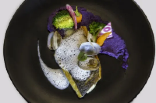 Best Western Plus Europe Hotel