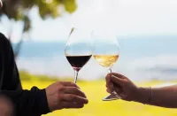 Altos de la Viña, Wine Hotel & Spa - Quầy bar