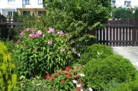 什維諾烏伊希切的公寓帶花園