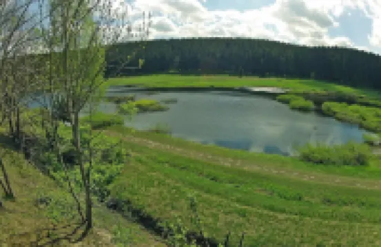 Log Cabin in Hasselfelde Near Harzer-Hexen-Stieg