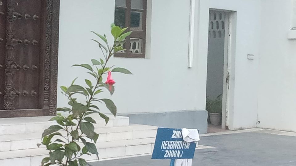 Daddy cool apartment