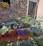 B&B S'Omu Antiga - Bed and Breakfasts