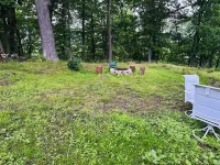 Little cute house close to C&O canal