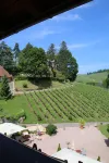 Overnight stay in the winery Neveu - Schlossblick Hotels in Durbach