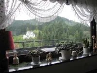 Vacation apartment with large balcony Hotels in Wildemann