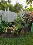 Tropical Blossom Apt. with washer, T.V, a/c,wi-fi Hotels in 