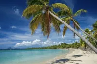 Residence Plage des Salines