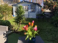 Charming house - fisherman's house by the sea Hotels in der Nähe von Pointe du Grouin