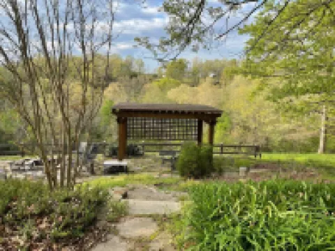 Escape to your mountain retreat, minutes from Buffalo National River