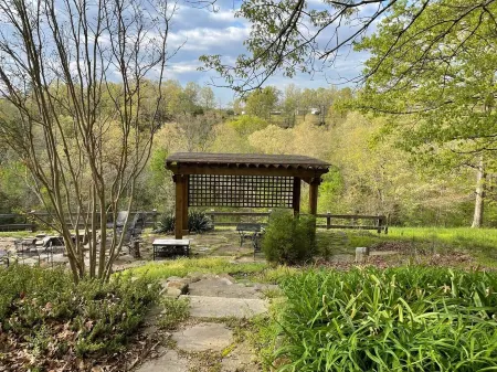 Escape to your mountain retreat, minutes from Buffalo National River