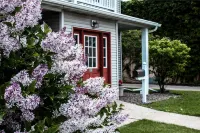 Newly remodeled, private, sunny downtown apartment; near restaurants & shopping.