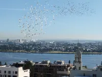 Modern 1 Bedroom Unit, near Beach with City and Harbour views, parking and WiFi