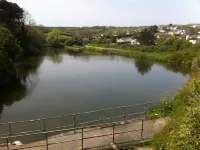 2 Bed, Pet Friendly, Hot tub, Secure Garden, Parking, Padstow, SATURDAY CHANGE